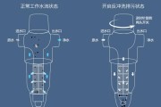 如何正确清洗净水器的方法（有效清除污垢）