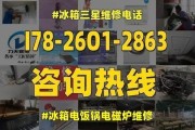 LG冰箱系统泄露故障及维修方法（了解LG冰箱系统泄露故障的原因和解决方法）