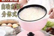 电饭煲烧火问题的解决方案（探索电饭煲烧火原因及应对方法）