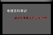 夏普电视开机后黑屏无任何提示的解决方法（遇到夏普电视开机后黑屏的用户必读）