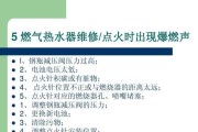 林内热水器漏水故障原因分析及维修方法（解决热水器漏水问题）