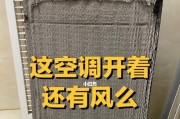 壁挂空调滤网清洗指南（了解滤网清洗的重要性及步骤）