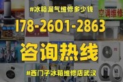 冰箱正常冷藏不制冷的原因及解决方法（探究冰箱正常冷藏却无冷的问题）