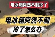 电冰柜不制冷的可能原因及解决方法（保持电冰柜高效运行的关键）