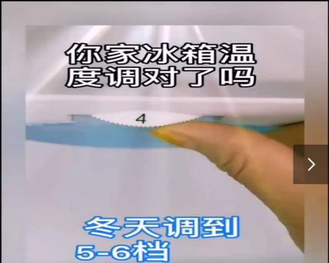 冰箱报警的原因及解决方法（探索冰箱报警的各种情况和应对措施）