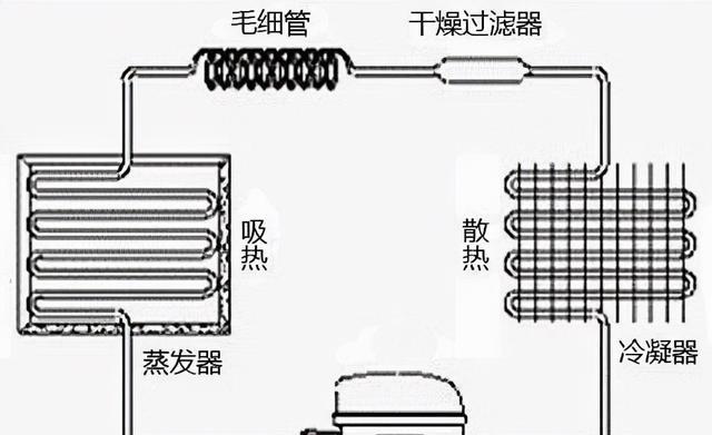 冰箱故障排除指南（探索冰箱在正常使用中直接损坏的原因）