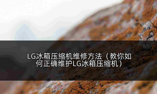 LG冰箱系统泄露故障及维修方法（了解LG冰箱系统泄露故障的原因和解决方法）