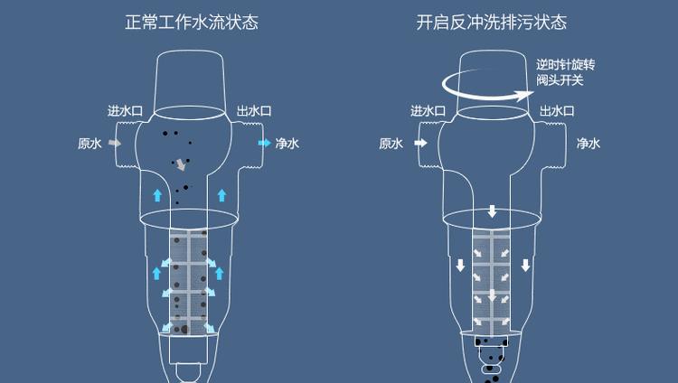 如何正确清洗净水器的方法（有效清除污垢）